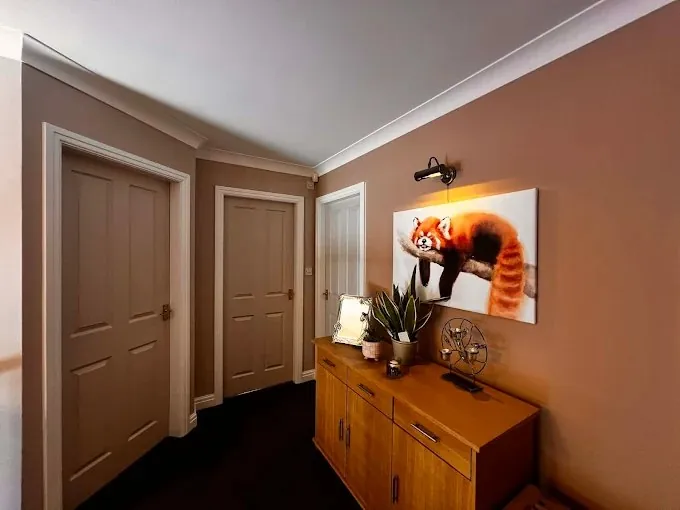 Hallway painted in warm clay with white doors and coving